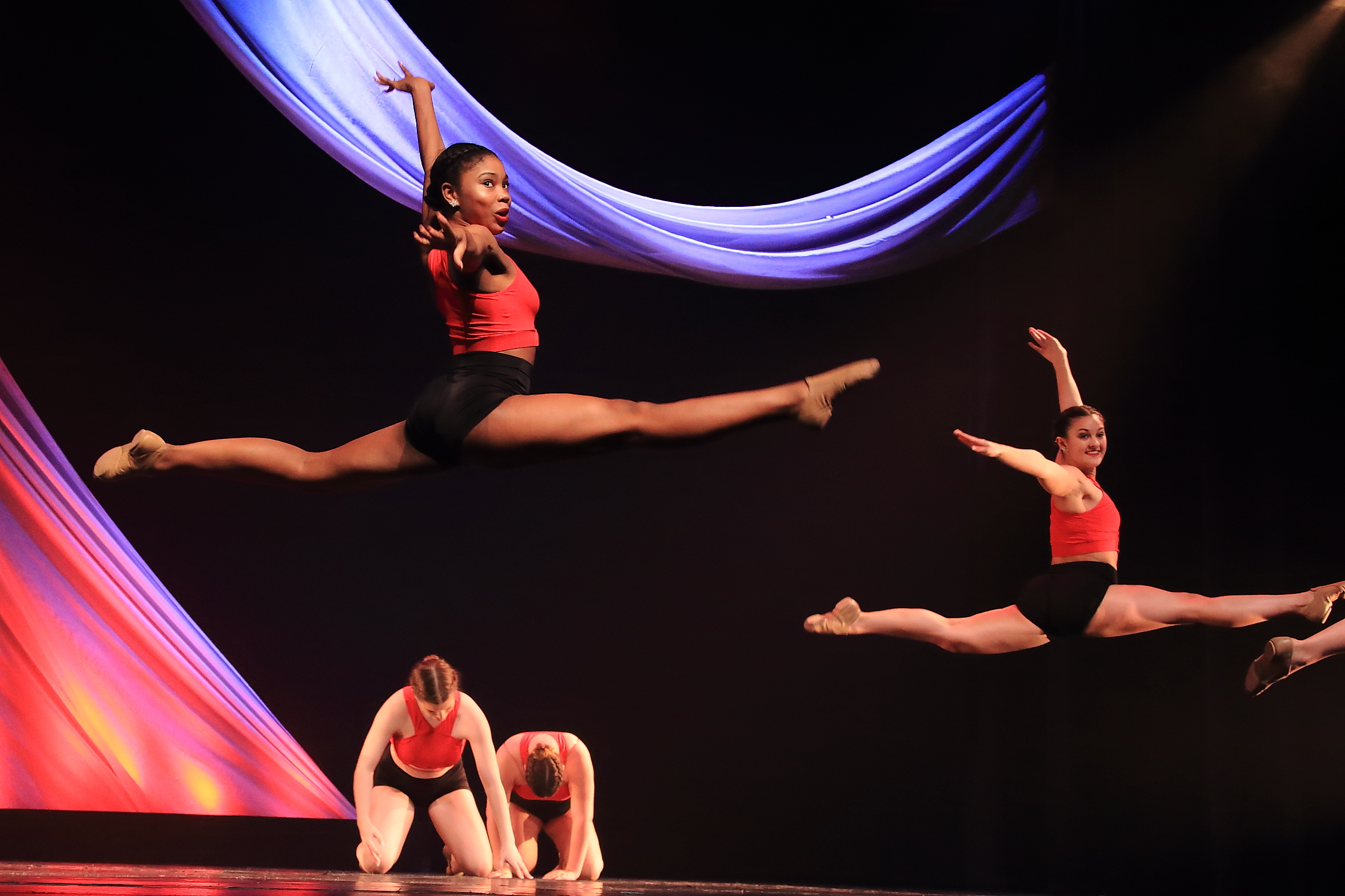 The Company performance