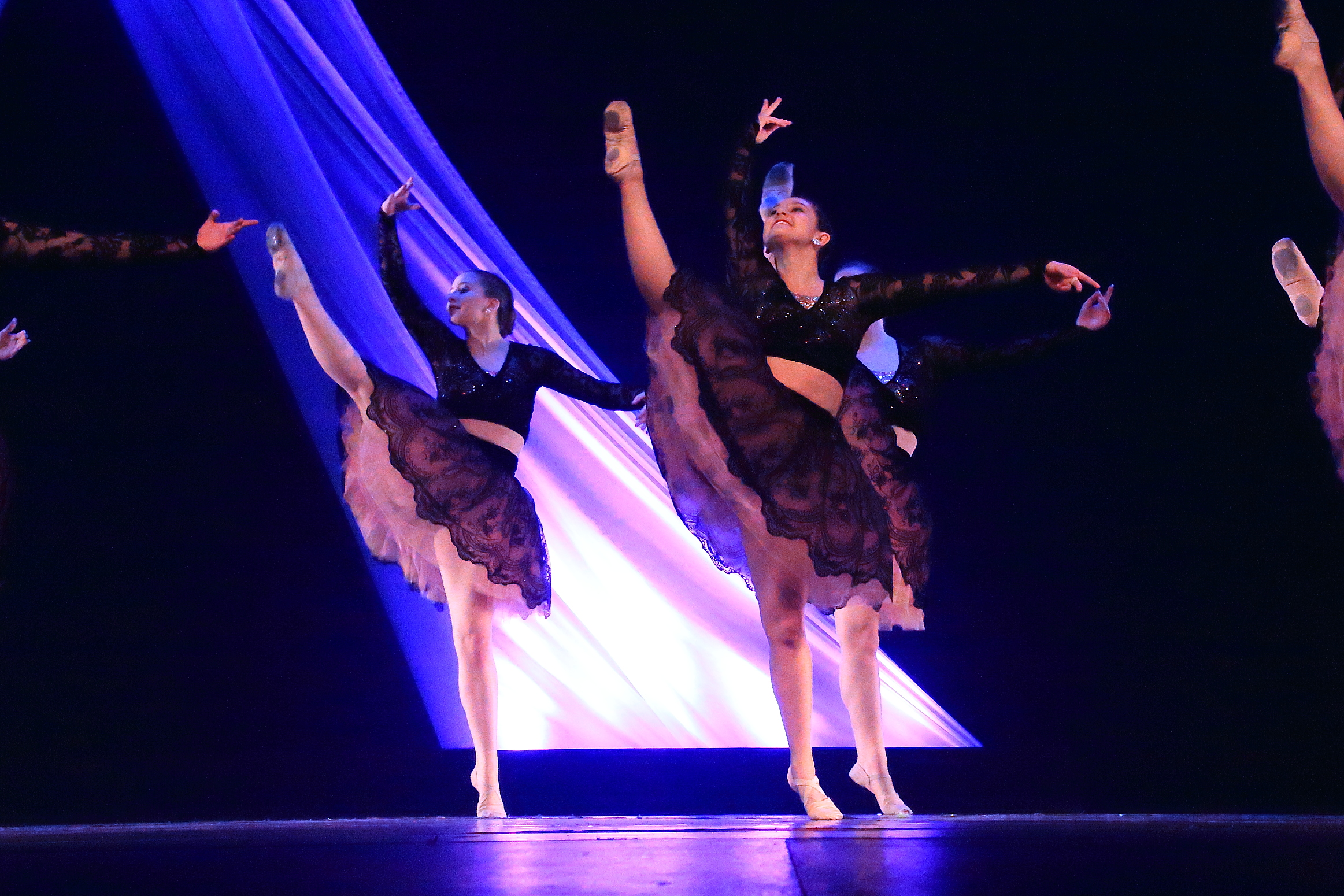 The Company routine