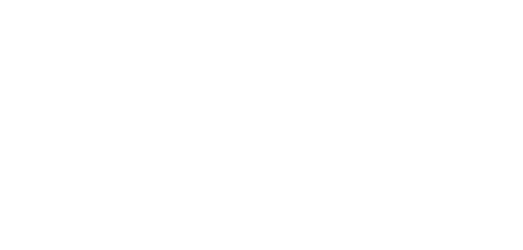 The Company - Miss Libby's School of Dance