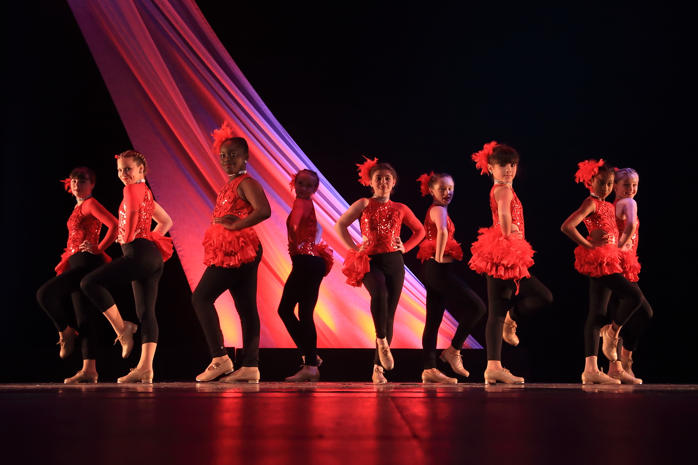 The Company performance
