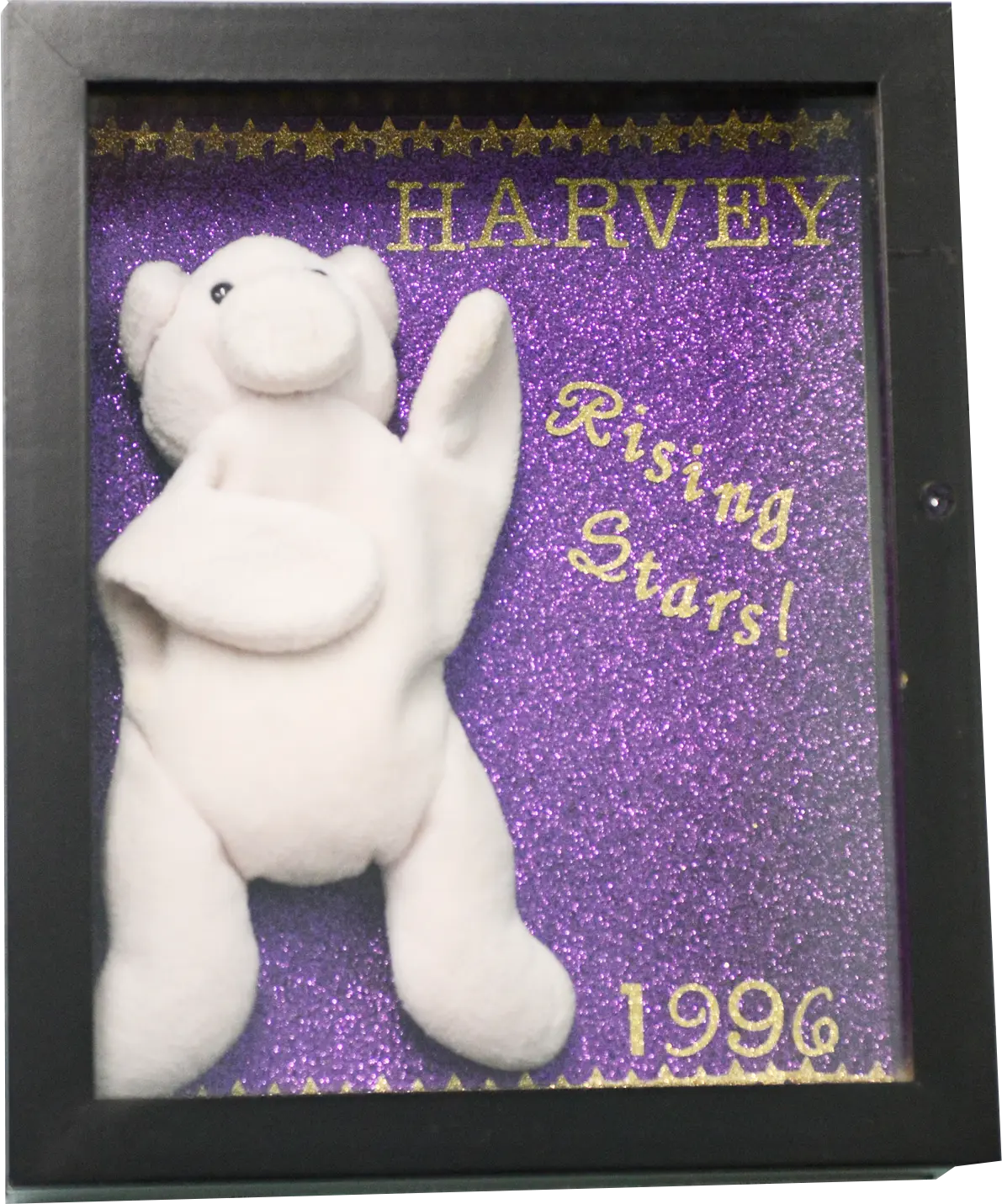Harvey, the Rising Stars mascot, in a shadow box dated 1996