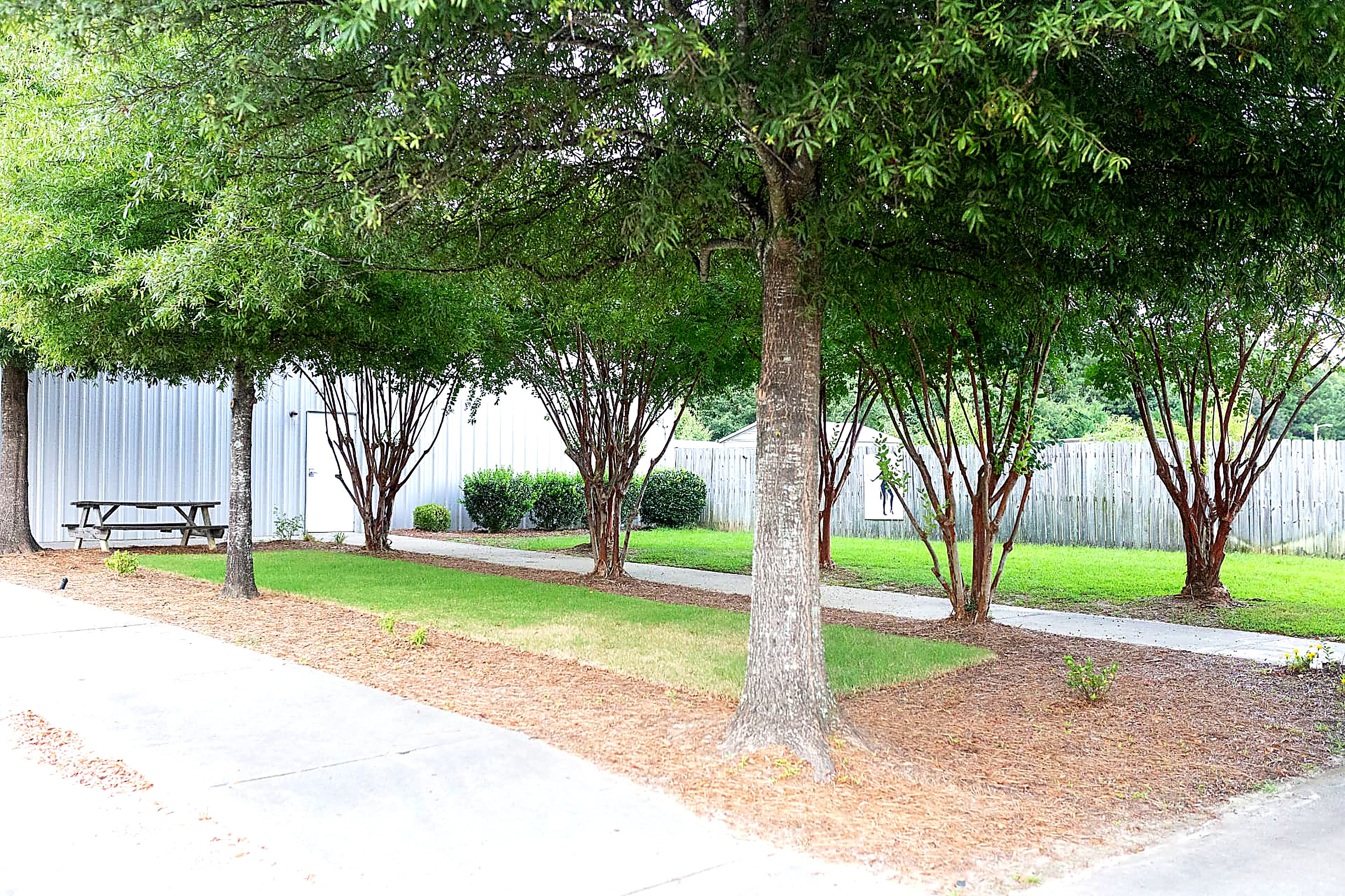 Shaded picnic area and walkway beside the Gymnastics Center